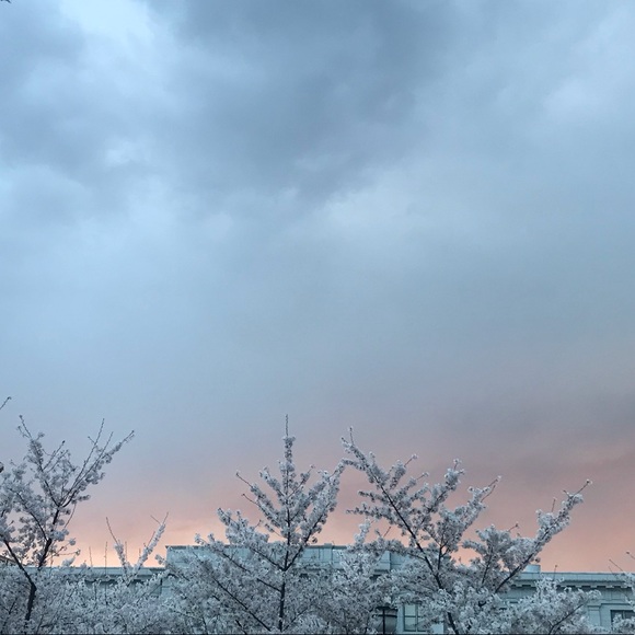 Meet your Posher, Eve - Picture 1 of 1